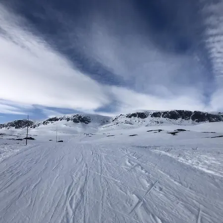 Casa de Férias Osetunet, Small And Charming At